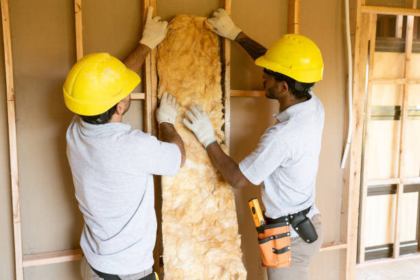Insulation for New Construction in Bronson, MI