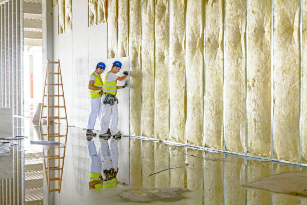 Professional Insulation Contractor in Bronson, MI